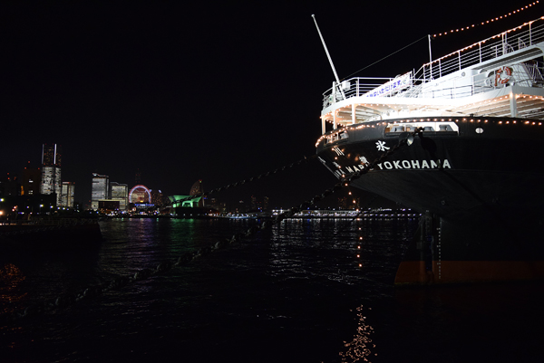 141225 hikawamaru DSC_0461.jpg